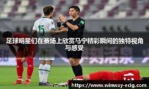 足球明星们在赛场上欣赏马宁精彩瞬间的独特视角与感受