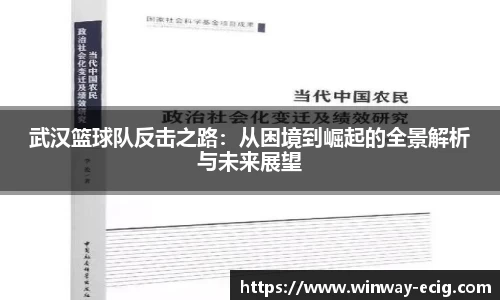 武汉篮球队反击之路：从困境到崛起的全景解析与未来展望